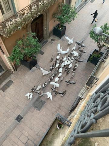 Bartissol Et Maillol Apartment แปร์ปินญอง ภายนอก รูปภาพ